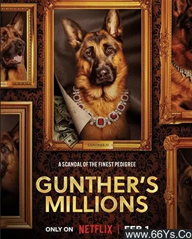 《亿万富犬》:狗狗的奢华人生,喜剧与温情的完美结合