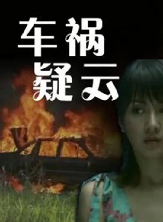 《车祸疑云》:真相迷雾下的道德拷问,引人入胜的悬疑之旅